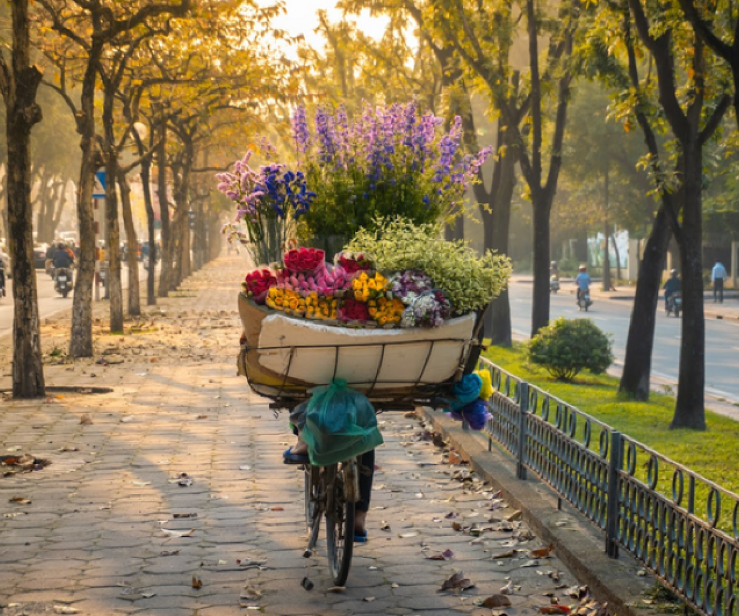 Day 1: Hanoi - Arrival (Dinner)